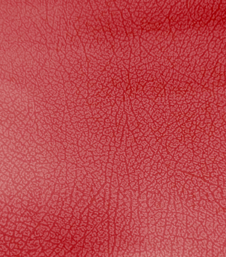 Иск. кожа 5512-29