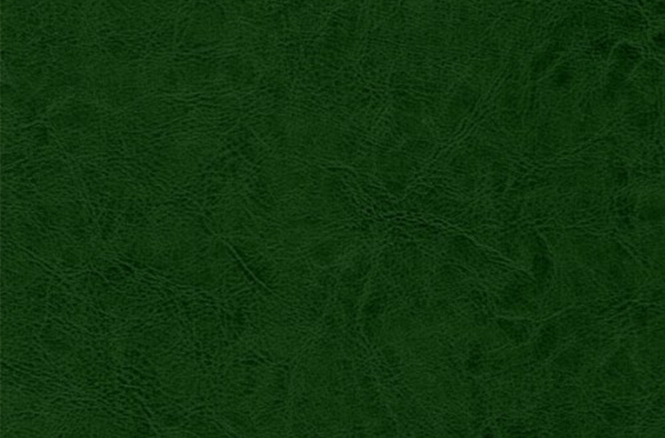 Иск. кожа Ostin green