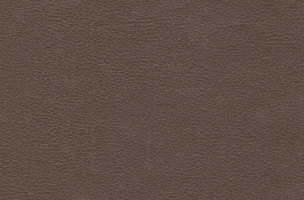 Иск. кожа Chili cinnamon