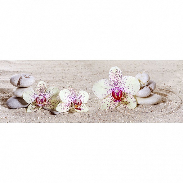 Panorama 39 размер 2,1м*0,7м