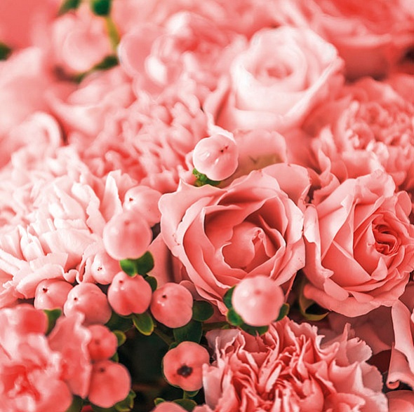 Купоны велюр Coral 70х70